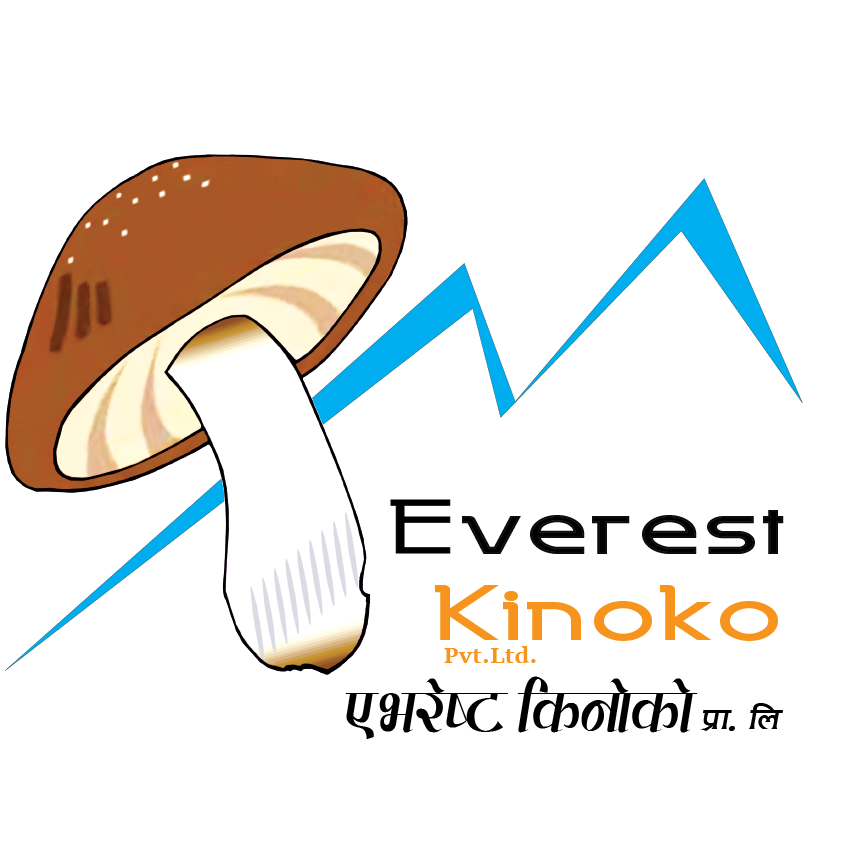 Everest Kinoko